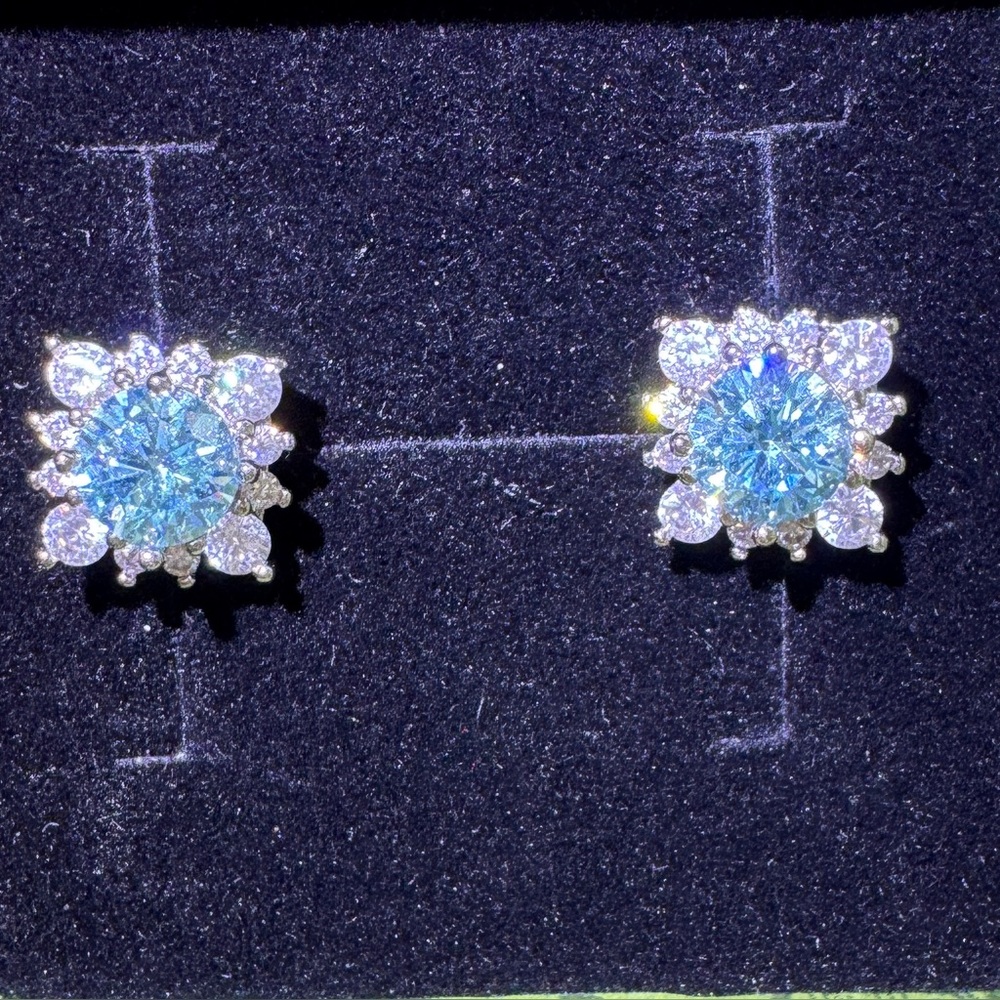 Elegant Silver and Blue Stud Earrings